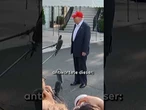 USA: Elon Musk gründet eigene Partei "America Party" - Konkurrenz für Donald Trump! #shorts