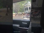 Bear and cub spotted exiting RV at California campground
