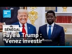 Bassirou Diomaye Faye à Donald Trump : "Venez investir au Sénégal" • FRANCE 24