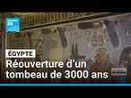 Égypte : un tombeau vieux de 3000 ans réouvre ses portes après vingt ans • FRANCE 24