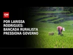 Bancada ruralista debate tarifaço e cobra Planalto | CNN PRIME TIME