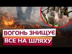 200 ГЕКТАРІВ ЗГОРІЛО! Національний ЗАПОВІДНИК Хортиця під ЗАГРОЗОЮ ПОВНОГО ЗНИЩЕННЯ!