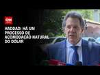 Haddad: Há um processo de acomodação natural do dólar | BASTIDORES CNN