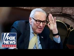 Schumer accused of 'holding the country HOSTAGE' after latest failed vote