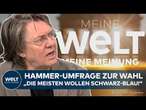 MEINE MEINUNG: Hammer-Umfrage zur Bundestagswahl! Zustimmung zu Koalition von Union und AfD wächst!