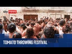 Watch La Tomatina Festival kick off in Spain