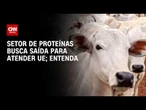 Setor de proteínas busca saída com governo para atender exigências da UE | CNN AGRO NEWS