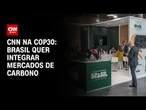 Mercados de carbono: Brasil busca criar regras comuns entre os países | LIVE CNN