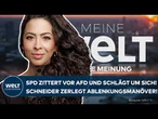 AFD-HÖHENFLUG: SPD zittert und schlägt um sich! Schneider zerlegt Ablenkungsmanöver! | Meinung