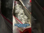 ZOLL GESCHOCKT: 1500 Vogelspinnen in Keks-Packung gefunden – viele Tiere tot! #shorts