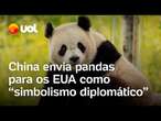 China envia dois pandas gigantes aos EUA; ato é visto como 'simbolismo diplomático'