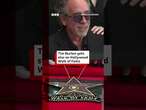 Tim Burton receives star on Hollywood Walk of Fame. #TimBurton #BeetlejuiceBeetlejuice #BBCNews