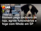 Homem rouba cachorro de loja, agride funcionários e foge com filhote em São Paulo; veja vídeo