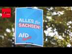 AfD in Sachsen vorn, auch BSW stark - Ampel-Parteien droht schlimmstes Szenario