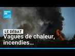 Canicule : l'été de tous les dangers ? • FRANCE 24
