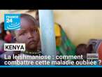 La leishmaniose au Kenya : comment combattre cette maladie oubliée ? • FRANCE 24