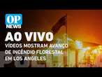 Vídeos mostram avanço de incêndio florestal em Los Angeles, na California l O POVO NEWS