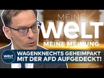 WAHLEN IN OSTDEUTSCHLAND: Wagenknecht erwägt "teuflischen Pakt"! Das steckt hinter ihren AfD-Plänen