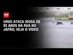 Japão: Urso ataca idosa de 82 anos na cidade de Daisen | CNN BRASIL