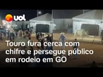 Touro fura cerca com chifre e persegue público em rodeio em GO; veja vídeo