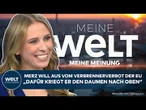 MEINE MEINUNG: Merz will Aus vom Verbrennerverbot der EU - „Dafür kriegt er den Daumen nach oben“