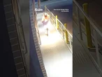 Bungling arsonist sets himself on fire while attempting to torch salon