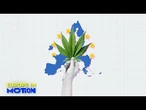 Dans quel pays européen les jeunes consomment-ils le plus de cannabis ?