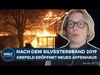 DEUTSCHLAND: Sechs Jahre nach dem Inferno - Krefelds neues Affenhaus ist eröffnet
