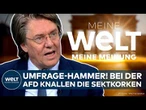 DEUTSCHLAND: Umfrage-Explosion! Union, Grüne SPD – Altparteien am Ende! AFD bei fast 40 Prozent!