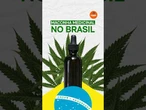 66% apoiam liberação da maconha medicinal, mostra PoderData