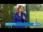 Krupka: Całe Świętokrzyskie jest cudne! | Republika Wstajemy