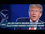 NATO-GIPFEL IN DEN HAAG: Empfang nach seinem Geschmack! Alles liegt König Donald Trump zu Füßen