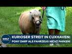 CUXHAVEN: Bizarr! Pony 