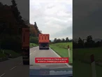 Cervo attraversa la strada a Sedico: sfiorato il parabrezza di un'auto