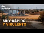 INCENDIO LLEIDA: Una CHISPA de una SEGADORA, posible CAUSA del FUEGO, y dos BOMBEROS HERIDOS | RTVE