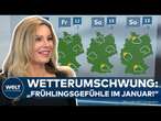 WETTER IN DEUTSCHLAND: Winter ohne Schnee - Statt Frost jetzt Frühlingsgefühle mit bis zu 15 °C!