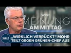 DIE GRÜNEN: Keine Liebe zu Deutschland? Deftige Kritik an Banaszaks Vaterland-Aussage | Meinung