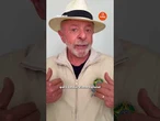 Lula declara apoio a João Campos ao governo de Pernambuco