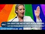 SACHSEN-ANHALT: „Vater, Mutter, Kinder“ – Alice Weidel missfällt AfD-Homosexualitäts-Konflikt