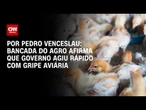 Bancada do agro afirma que governo agiu rápido com gripe aviária | CNN 360º