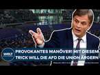 BUNDESTAG: Protest gegen Ausgrenzung! Mit diesem Trick will die AFD die Union vorführen