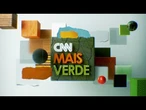 CNN Mais Verde: Cacau Silvestre renasce em área restaurada da Amazônia | CNN NOVO DIA