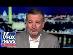 Ted Cruz: The Dem Party has gone ‘bat-crap crazy’