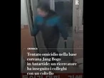 Tentato omicidio in Antartide. Un ricercatore insegue i colleghi con un coltello nella base coreana