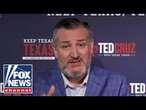 Sen. Ted Cruz: The extreme left ‘have lost their minds’