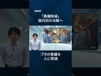 【異種移植】ブタの臓器を人に移植、2028年にも国内初治験へ【クイック解説】　#異種移植 #ブタ #ドナー不足