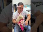 Mulher surpreende marido e dá uma cabra de presente no Dia dos Namorados