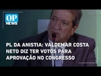 PL da anistia: Valdemar Costa Neto diz ter votos para aprovação no Congresso | O POVO News
