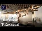 Saurierskelett „Gus“ wird in New York versteigert