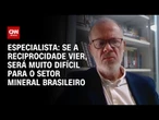 "Se reciprocidade vier, será muito difícil para o setor mineral brasileiro", diz especialista | WW